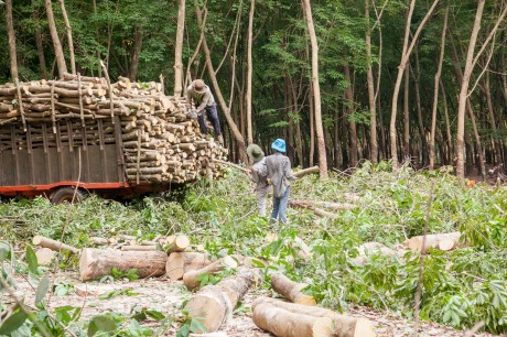 Cung cấp máy chấm công cho huyện Dầu Tiếng - Bình Dương