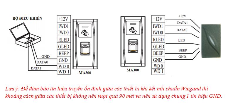 MA300 thiết bị chấm công kiểm soát ra vào