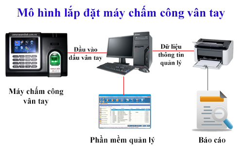 Giải thích nguyên nhân vì sao máy chấm công ngày càng được ưa chuộng hơn